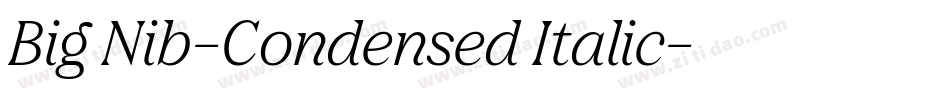Big Nib-Condensed Italic字体转换